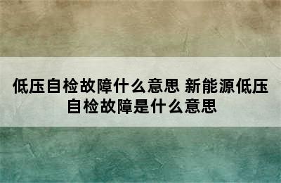 低压自检故障什么意思 新能源低压自检故障是什么意思